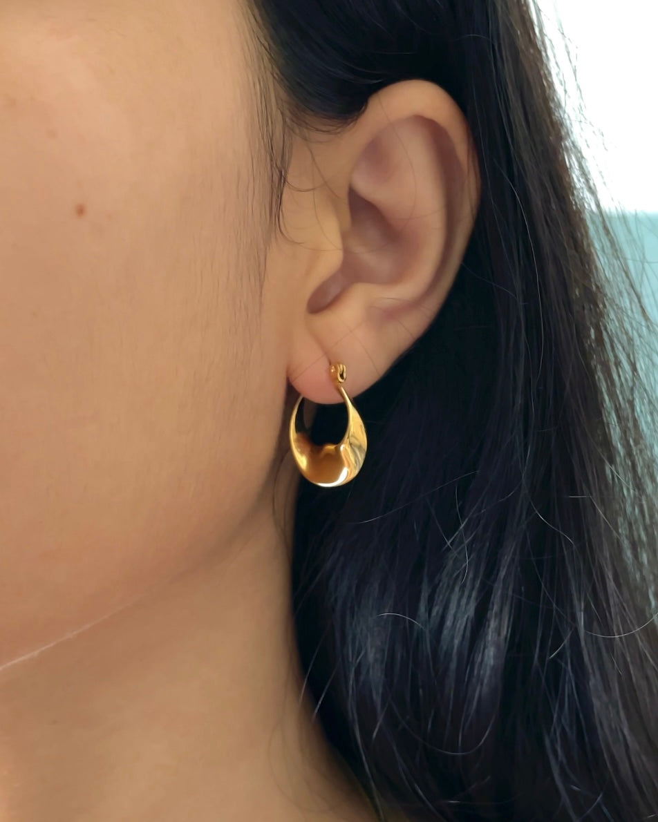 Leher Earrings