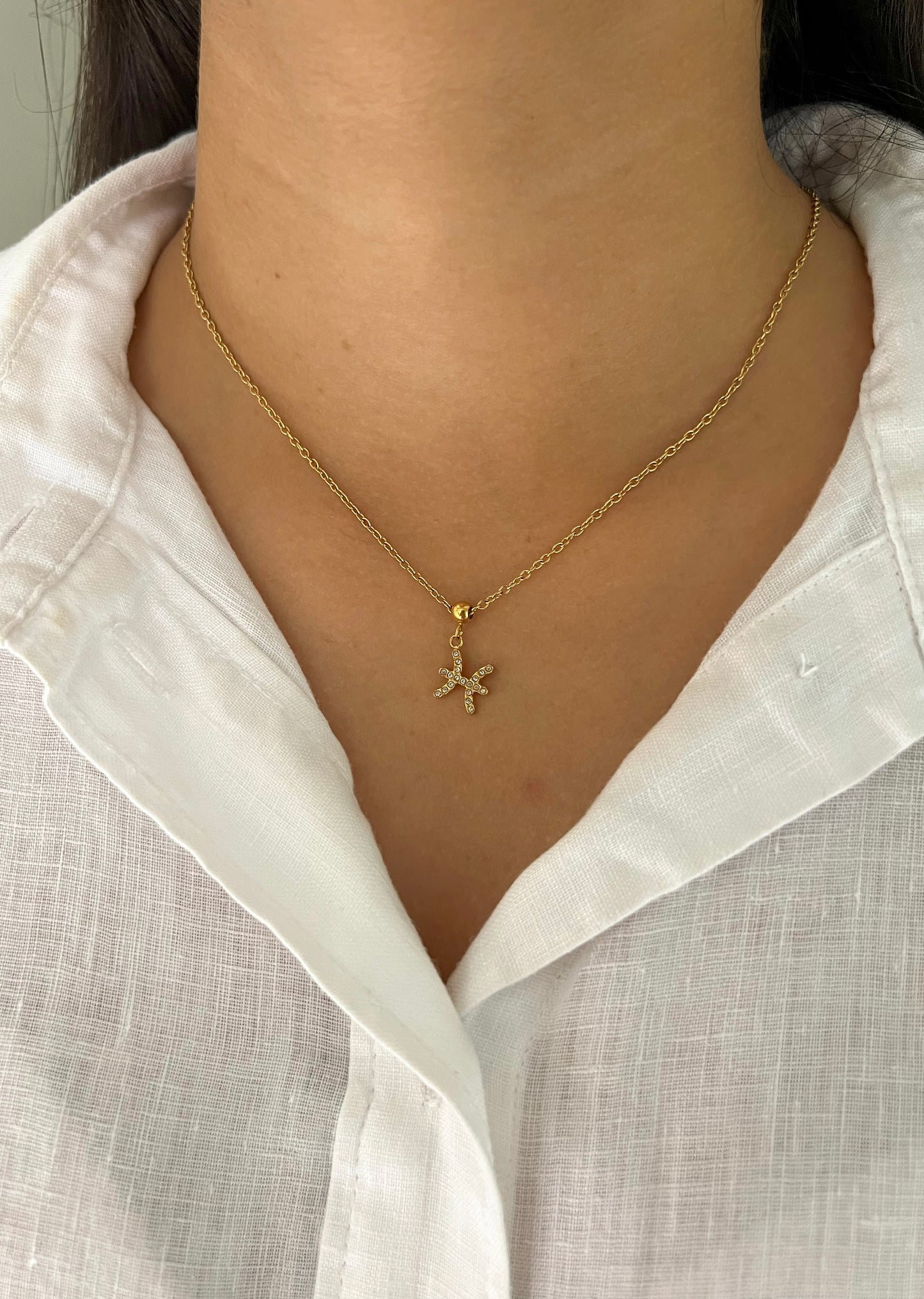 Zodiac Necklace