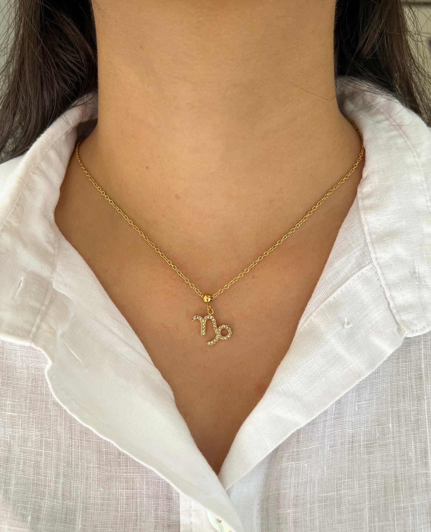 Zodiac Necklace