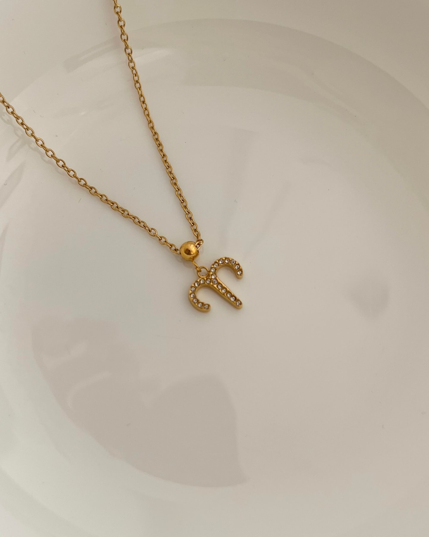 Zodiac Necklace